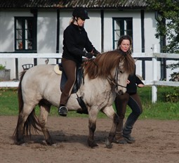 Traning-Karin